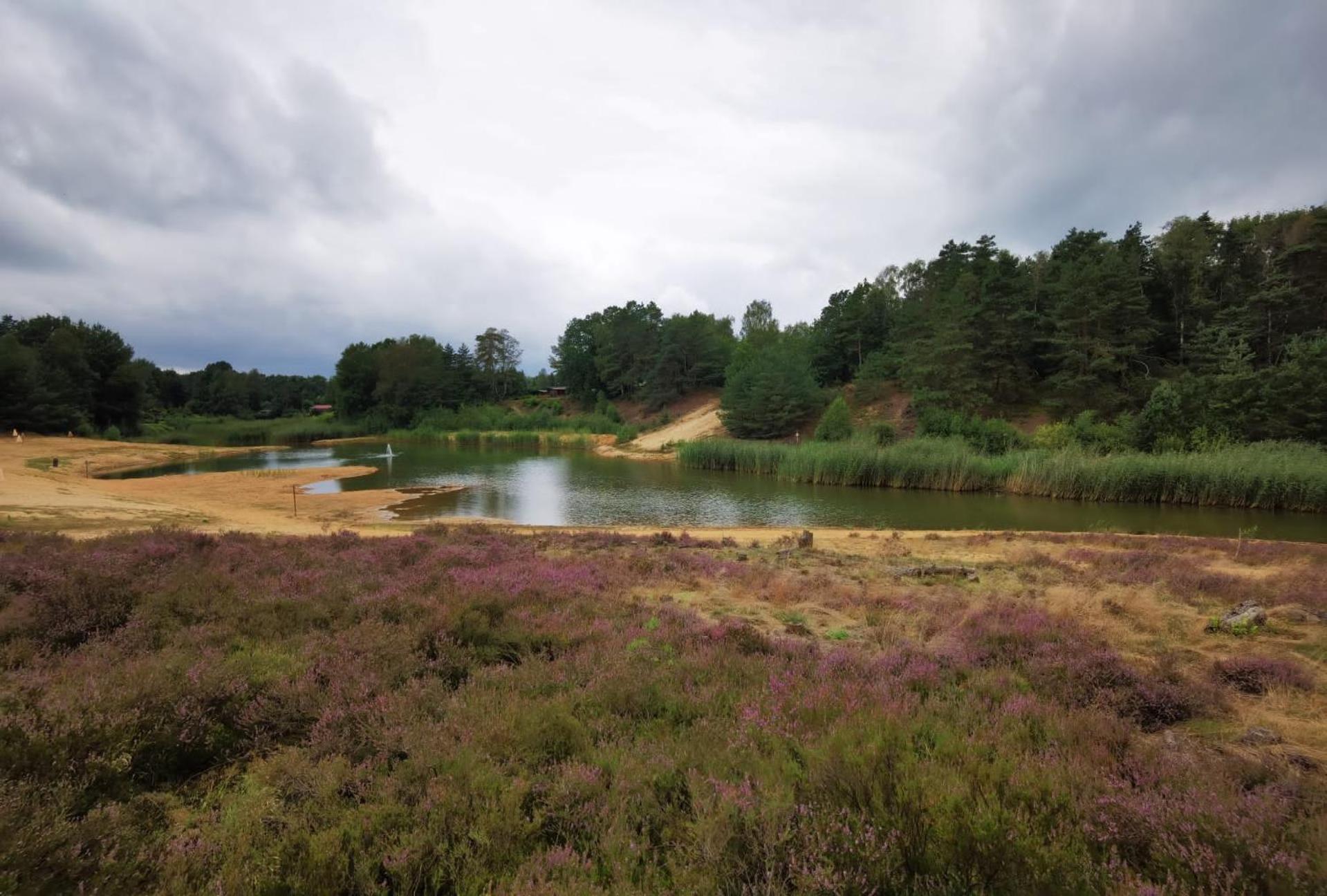Tiny House Mit Garten In Der Lueneburger Heide 索尔陶 外观 照片